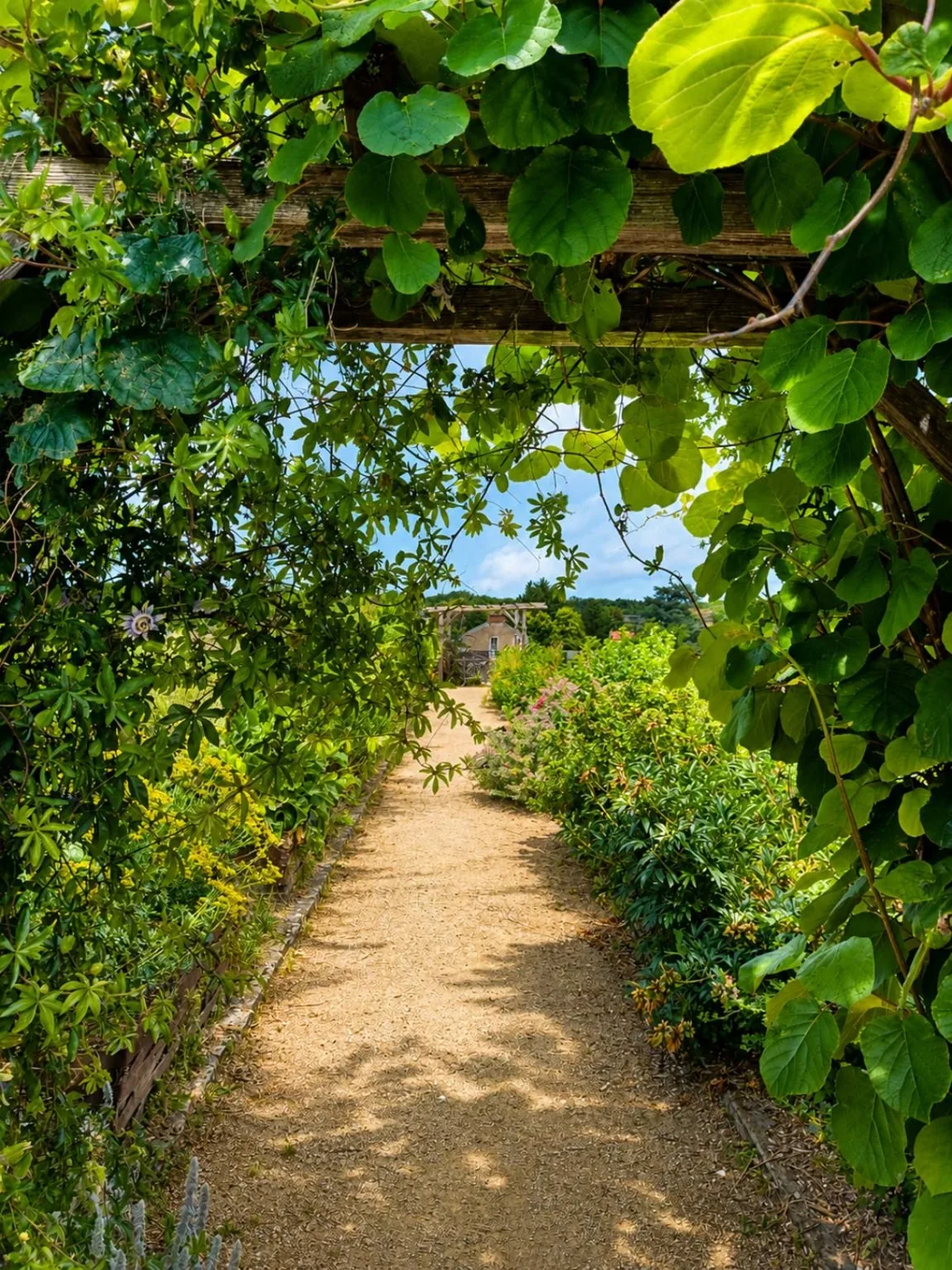 Allée végétale du Jardin Riomet à Château-Thierry